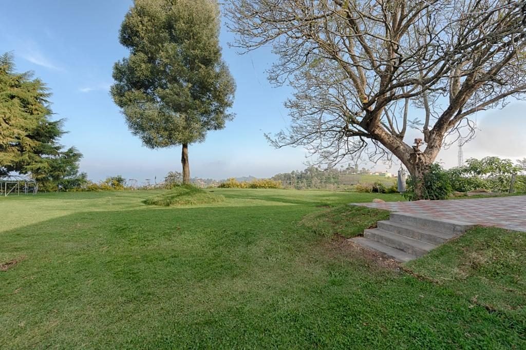 Cottages – Lawn Area View
