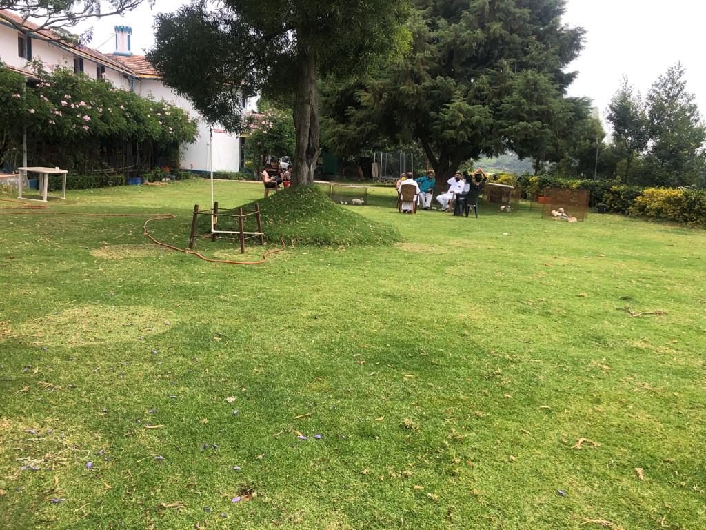 Belair Cottages – Cottages: Lawn Area